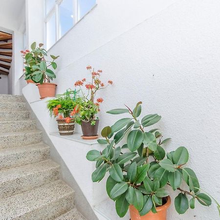 Apartments Zora Starigrad Exterior photo